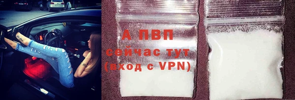 спиды Абаза