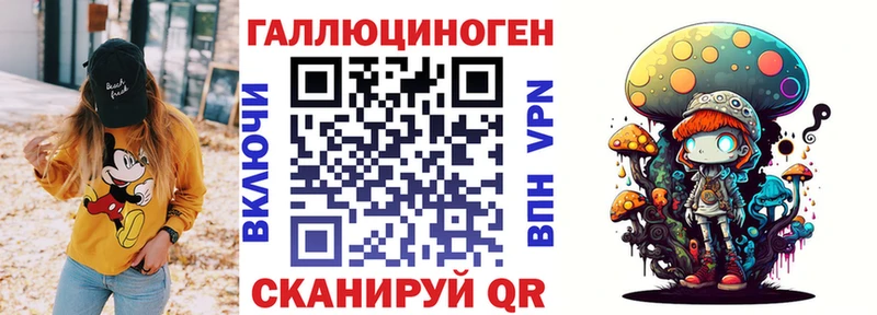 Псилоцибиновые грибы мицелий купить наркотики сайты Владикавказ